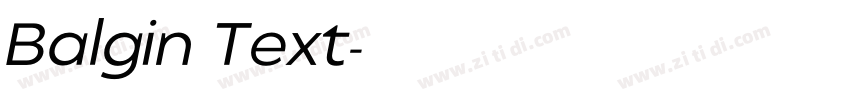 Balgin Text字体转换 Balgin Text字体转换